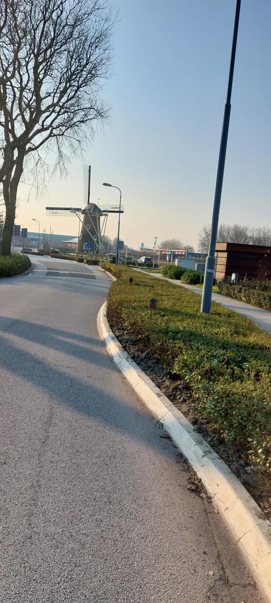 Wijngaardstraat 7A Domburg Villa Eksteriør bilde